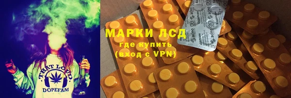 спиды Аркадак
